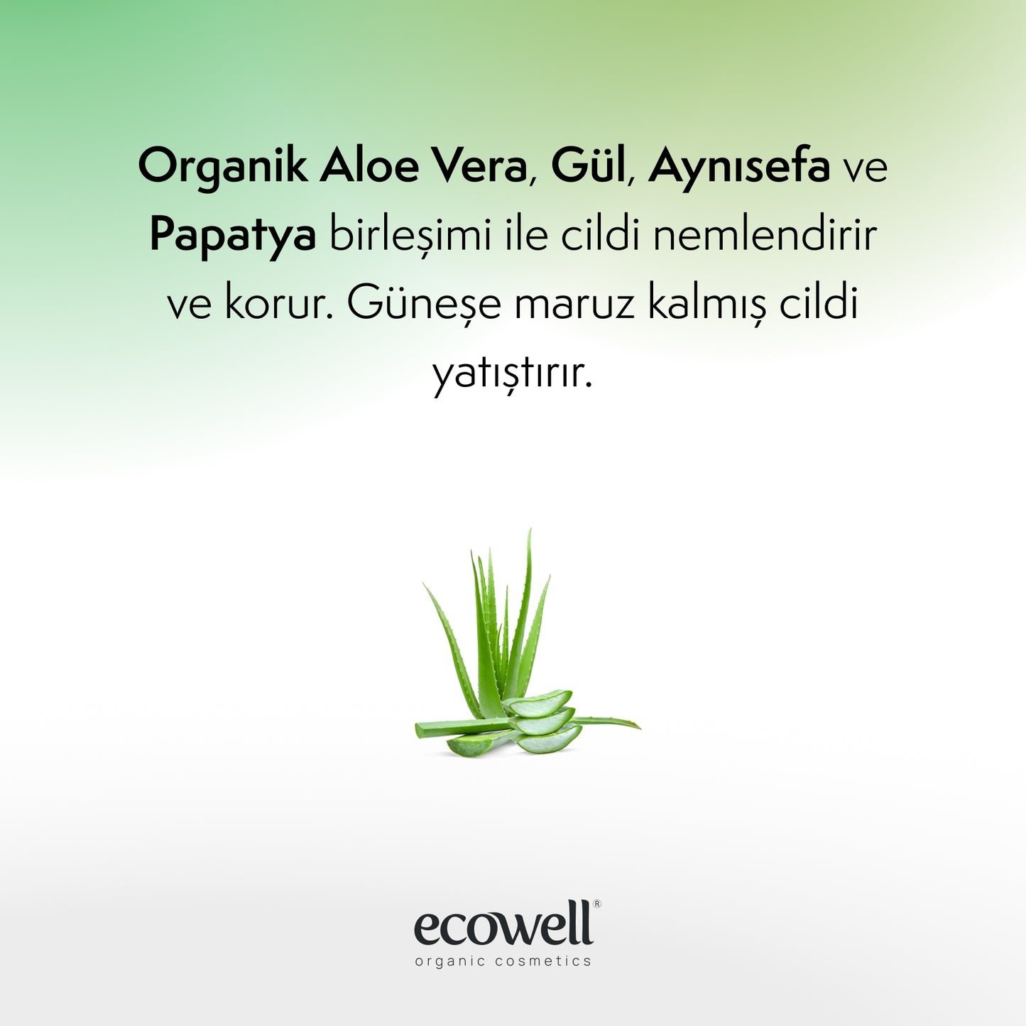 Certified Organic Aloe Vera Gel - 200 ml